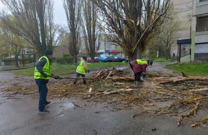 Новини Харкова: буревій повалив дерева місто